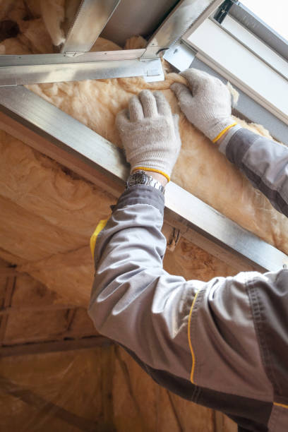 Best Commercial Insulation Contractor  in Lakeview, CA