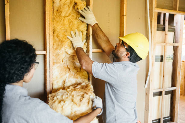 Best Attic Insulation Installation  in Lakeview, CA