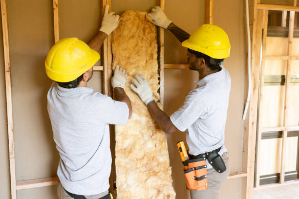 Best Insulation Installation Cost  in Lakeview, CA