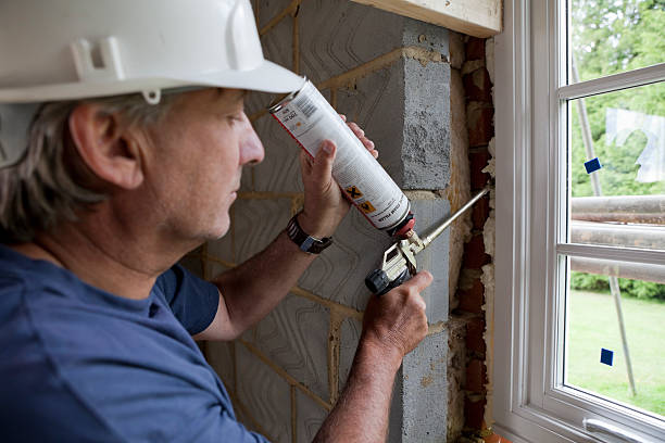 Best Insulation Replacement Services  in Lakeview, CA