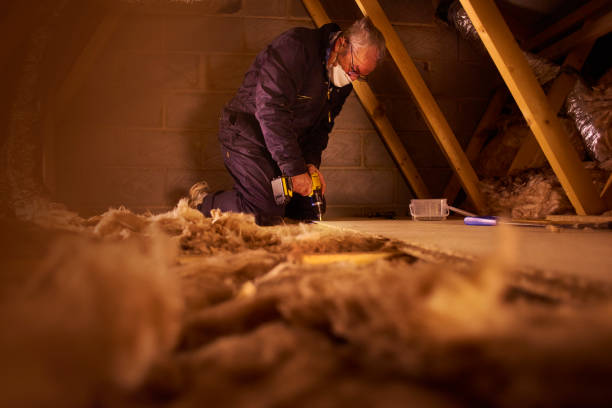 Best Spray Foam Insulation  in Lakeview, CA